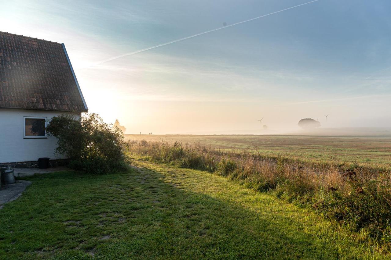 Red Bird Farm Bed & Breakfast Ystad Dış mekan fotoğraf