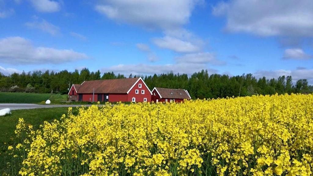 Red Bird Farm Bed & Breakfast Ystad Dış mekan fotoğraf